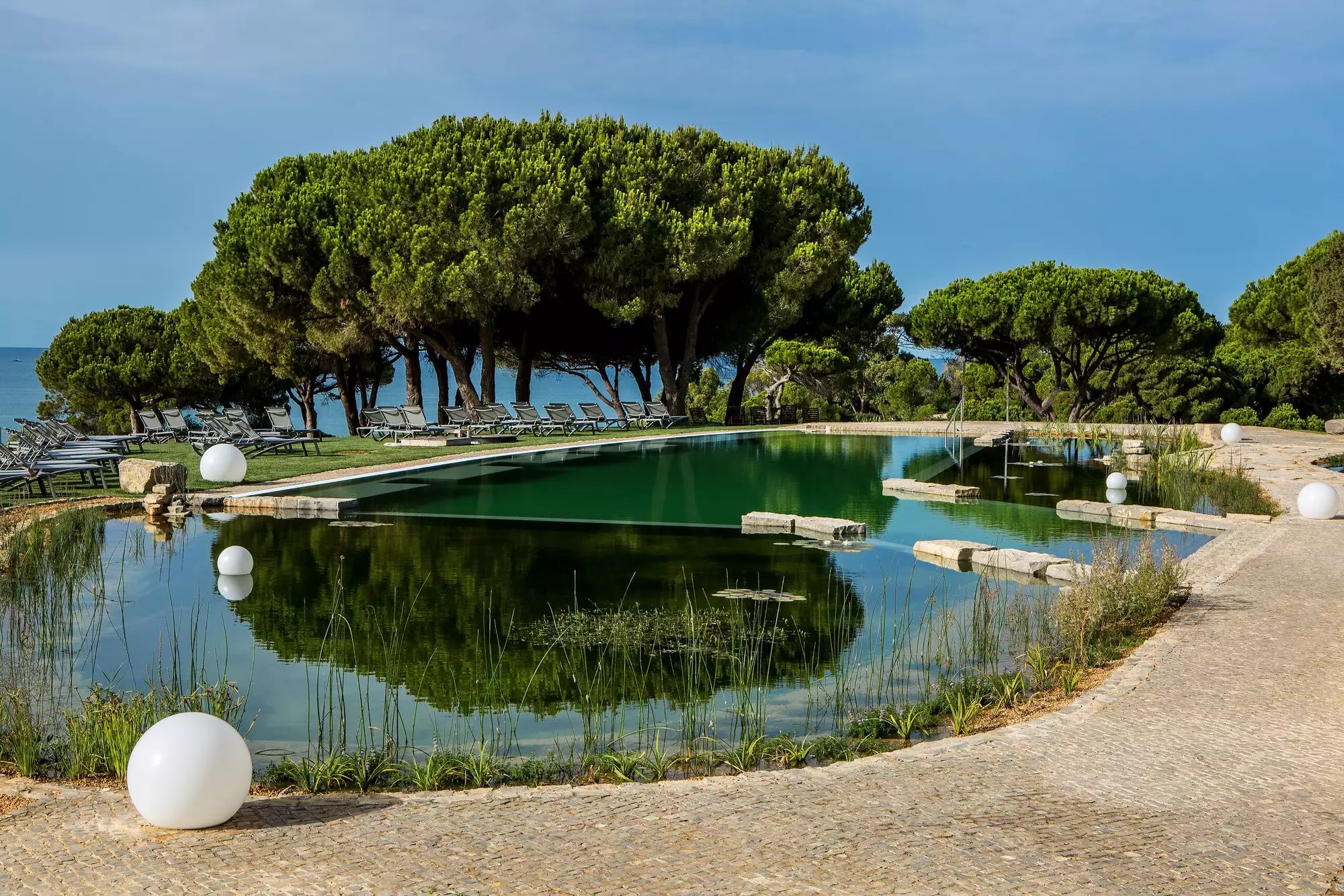 Jardin et bassin d'un lieu de réception