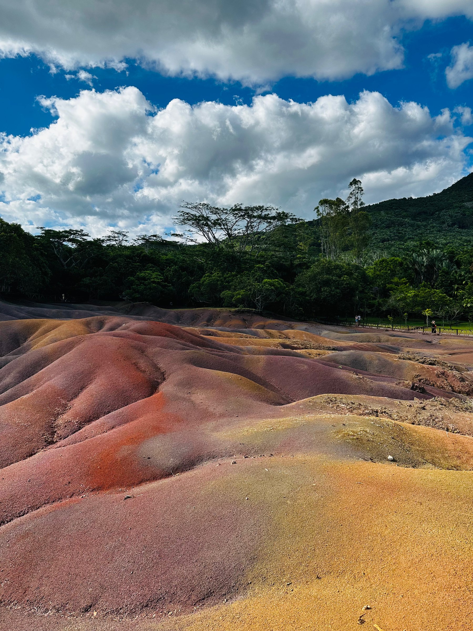 Paysage coloré d'une destination de concert